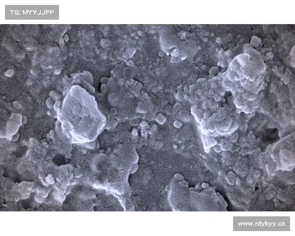 什么是扫描电镜(SEM)? 什么是扫描电镜(SEM)?